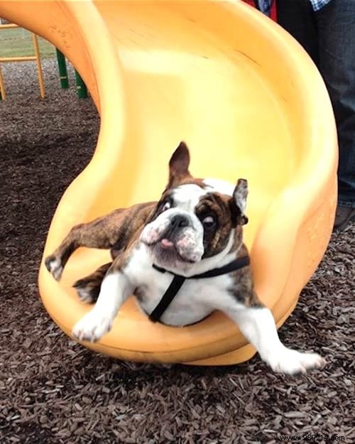 19 Adorable Photos of Animals Discovering the World for the First Time