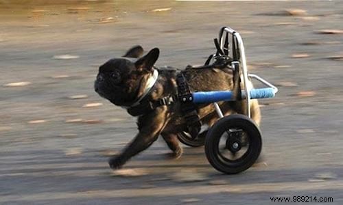 19 Adorable Photos of Animals Discovering the World for the First Time