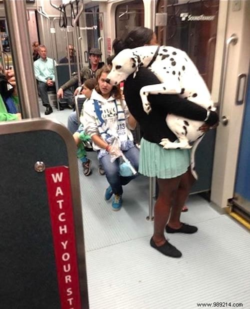 19 Adorable Photos of Animals Discovering the World for the First Time