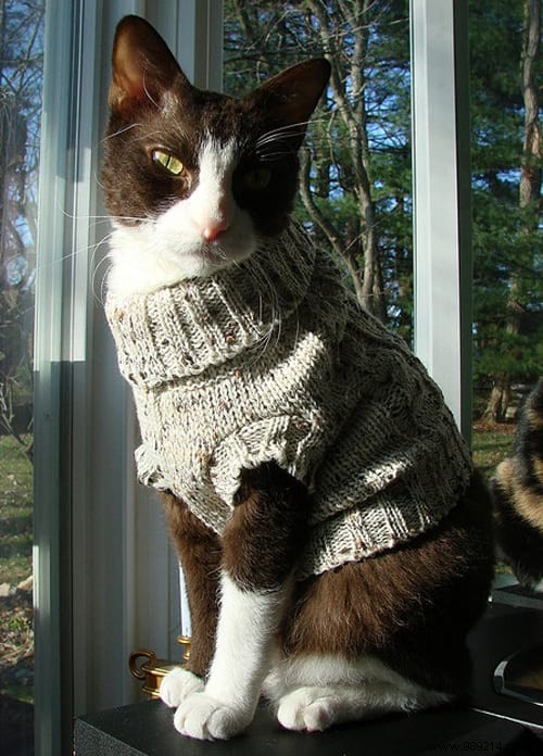 108 Adorable Photos of Cats in Cozy Sweaters: A Heartwarming Winter Gallery