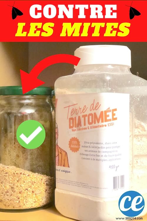 Eliminate Pantry Moths Naturally: Proven Diatomaceous Earth Trap