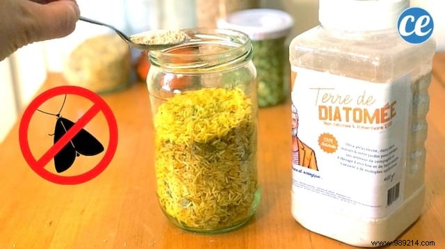 Eliminate Pantry Moths Naturally: Proven Diatomaceous Earth Trap