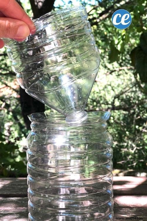 DIY Fly Trap: Build an Effective One from a Plastic Bottle in Minutes