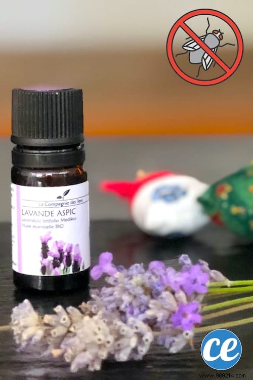 5 Proven Natural Remedies to Banish Flies from Your Home