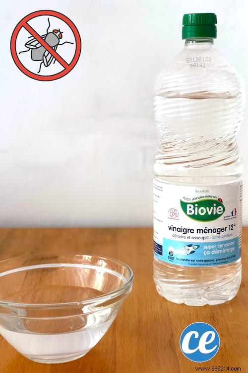 5 Proven Natural Remedies to Banish Flies from Your Home