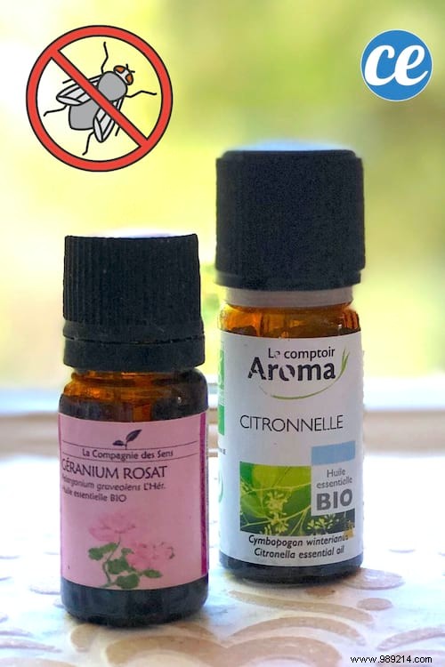 5 Proven Natural Remedies to Banish Flies from Your Home