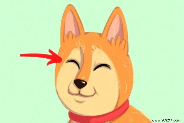 16 Expert Tips to Decode Your Dog s Body Language