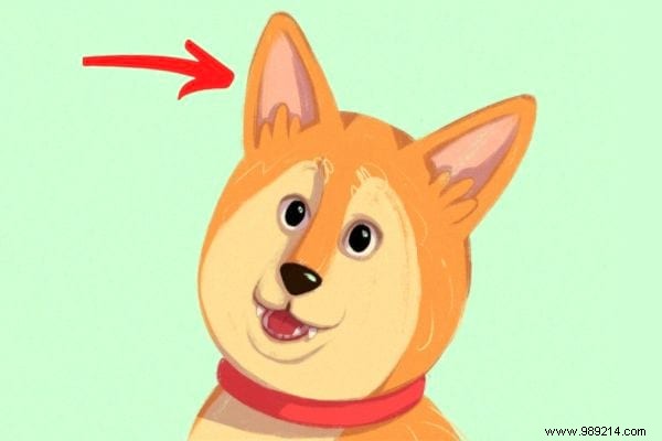 16 Expert Tips to Decode Your Dog s Body Language