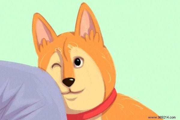 16 Expert Tips to Decode Your Dog s Body Language