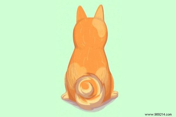 16 Expert Tips to Decode Your Dog s Body Language