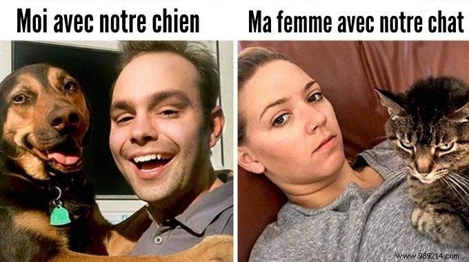 13 Hilarious Photos Showcasing the Unique Worlds of Cats and Dogs