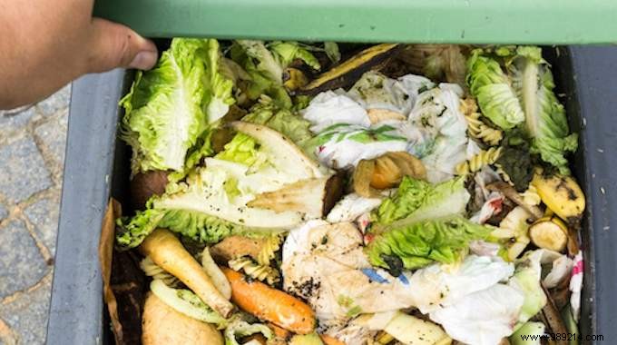 How to Cut Food Waste and Save Money: Proven Tips from Experts