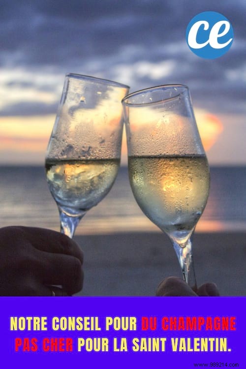 Budget Sparkling Wine for Valentine s Day: Why Cava Beats Expensive Champagne