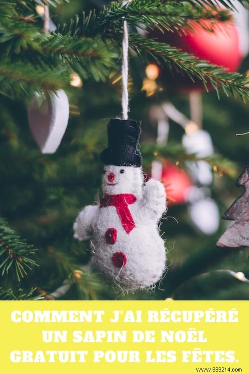 How I Scored a Free Christmas Tree – A Proven Post-Holiday Hack