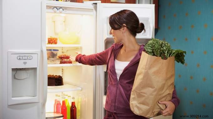 Should You Choose a Separate Fridge and Freezer? Expert Energy-Saving Advice