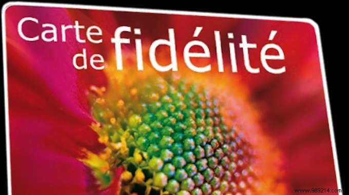 Should You Get Loyalty Cards from Every Store? My Proven Savings Strategy