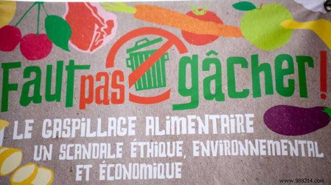 How to Reduce Food Waste: Save Money and Protect the Planet