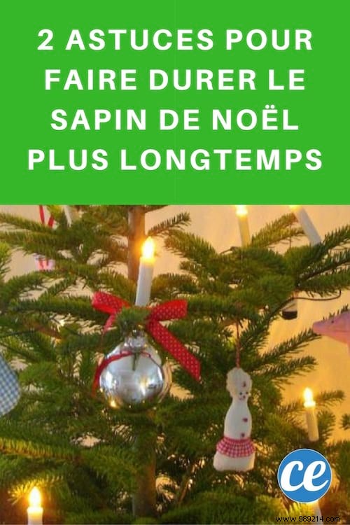 2 Proven Tips to Keep Your Christmas Tree Fresh All Season Long