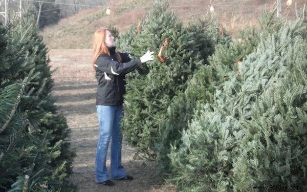 2 Proven Tips to Keep Your Christmas Tree Fresh All Season Long