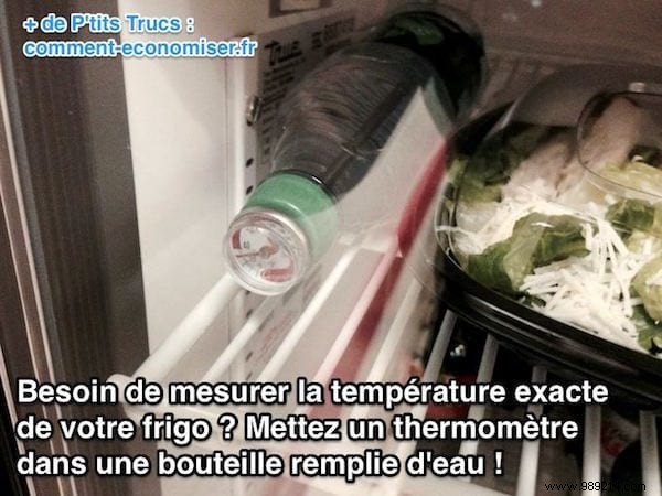 How to Accurately Measure Your Fridge Temperature Like a Pro