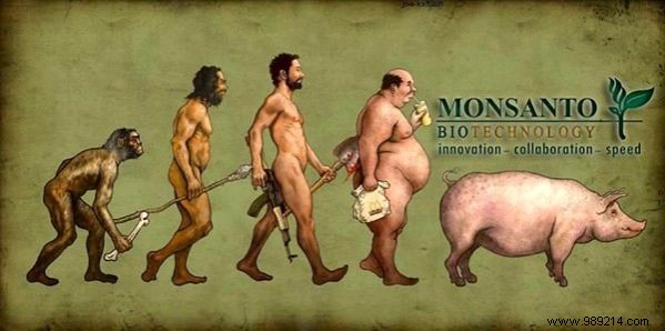 Guide to Avoiding Monsanto-Linked Brands: Key Companies and Products to Know