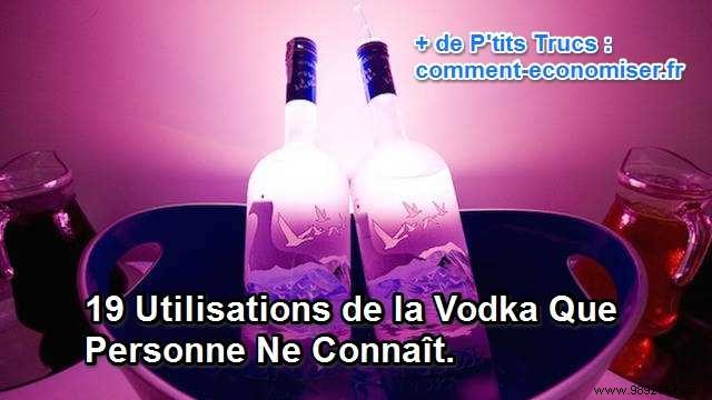 19 Practical Vodka Uses for Cleaning, Health, and Home Hacks