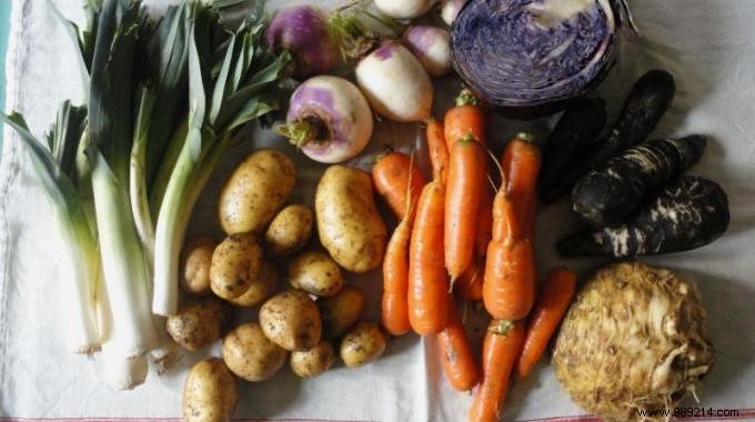 December s Seasonal Fruits and Vegetables: Your Essential Shopping Guide