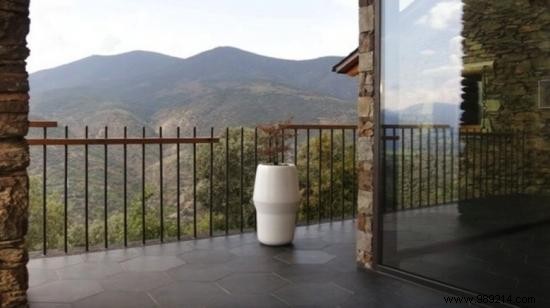 Bios Urn: Transform Your Ashes into a Living Tree Memorial