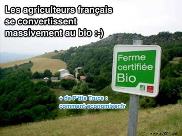 French Farmers Surge to Organic Amid Crisis: Record Conversions Triple in Normandy