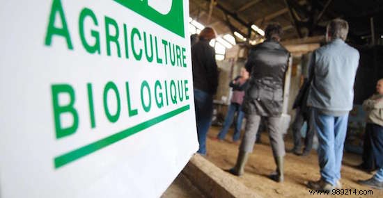 French Farmers Surge to Organic Amid Crisis: Record Conversions Triple in Normandy