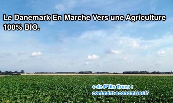 Denmark s Pioneering Push Toward 100% Organic Farming