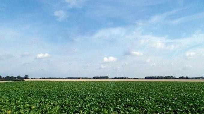 Denmark s Pioneering Push Toward 100% Organic Farming