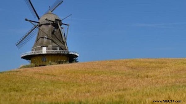 Denmark s Pioneering Push Toward 100% Organic Farming