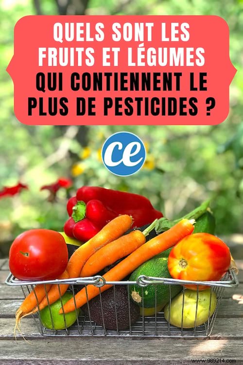 Fruits and Vegetables Highest in Pesticide Residues: Cleanest Choices Backed by Expert Analysis