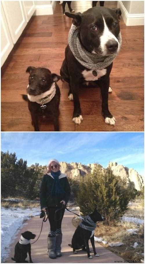 43 Ingenious Ways to Repurpose Old Socks: Practical DIY Ideas from a Seasoned Crafter