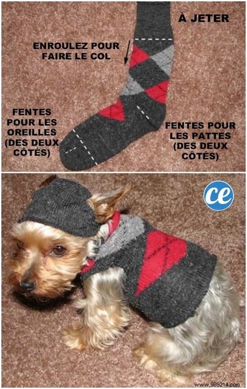 43 Ingenious Ways to Repurpose Old Socks: Practical DIY Ideas from a Seasoned Crafter