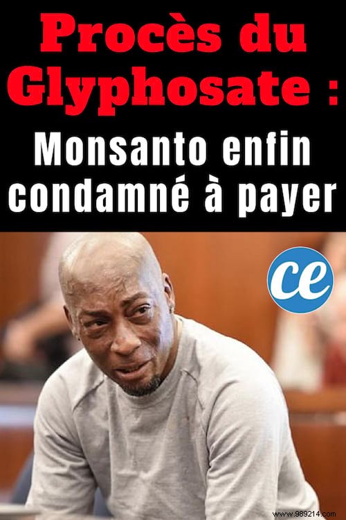 Landmark Glyphosate Verdict: Monsanto Ordered to Pay $289M to Roundup Cancer Victim