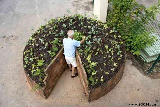 Albi s Bold Quest for Food Self-Sufficiency with Local Organic Produce by 2020