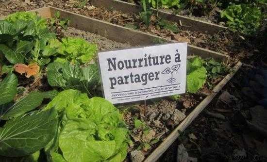 Albi s Bold Quest for Food Self-Sufficiency with Local Organic Produce by 2020