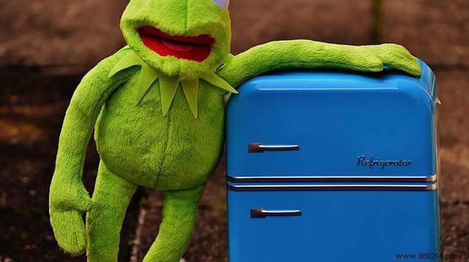 Expert Guide: How to Clean Your Refrigerator Effectively and Affordably