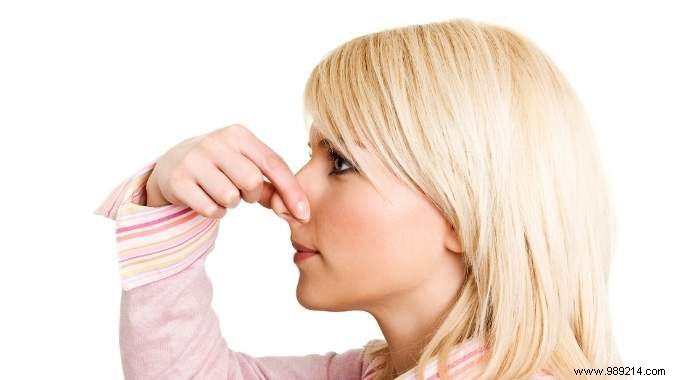 Deodorize Your Home for Free: Ventilate 15 Minutes a Day