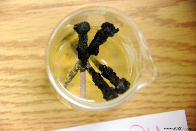 10 Surprising White Vinegar Hacks for Cleaning and Home Maintenance