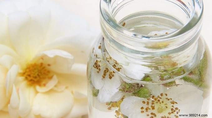 Effortless Home Deodorizing: The Proven Vinegar Boil Trick