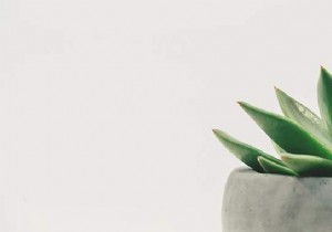 4 Expert Tips to Keep Your Houseplants Vibrant and Green Year-Round