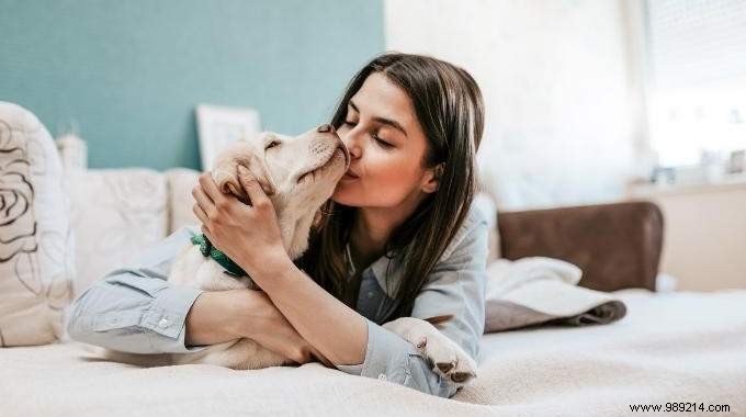 Expert Guide: How to Choose the Right Pet with Proven Tips and Questions