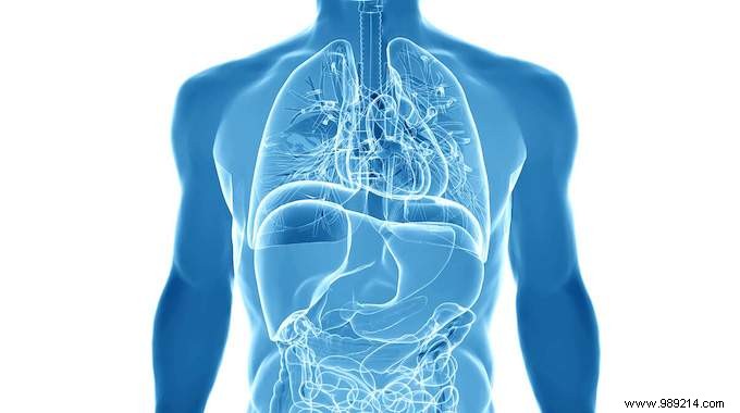 Unlocking Water s Powerful Health Benefits: Science-Backed Insights