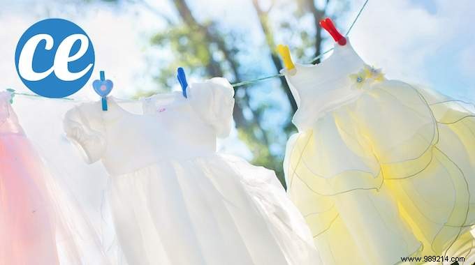 White Vinegar: The Natural, Effective Fabric Softener That Saves Money