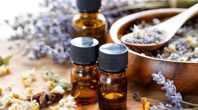 4 Must-Have Eco-Friendly Cleaning Products for Every Home