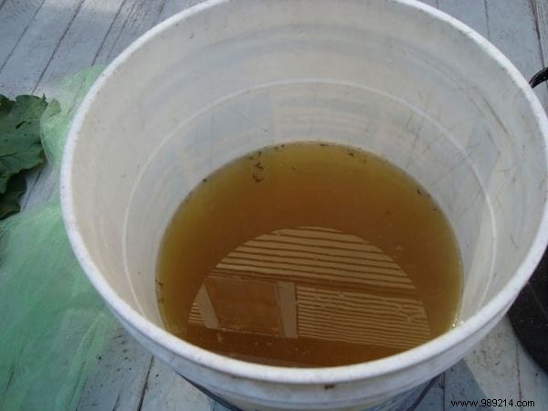 2 Proven Natural Ways to Eliminate Dust Mites from Your Bedding – Free and Effective