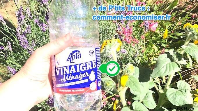 6 Proven White Vinegar Hacks: Save €184.80 a Year on Cleaning and Home Care